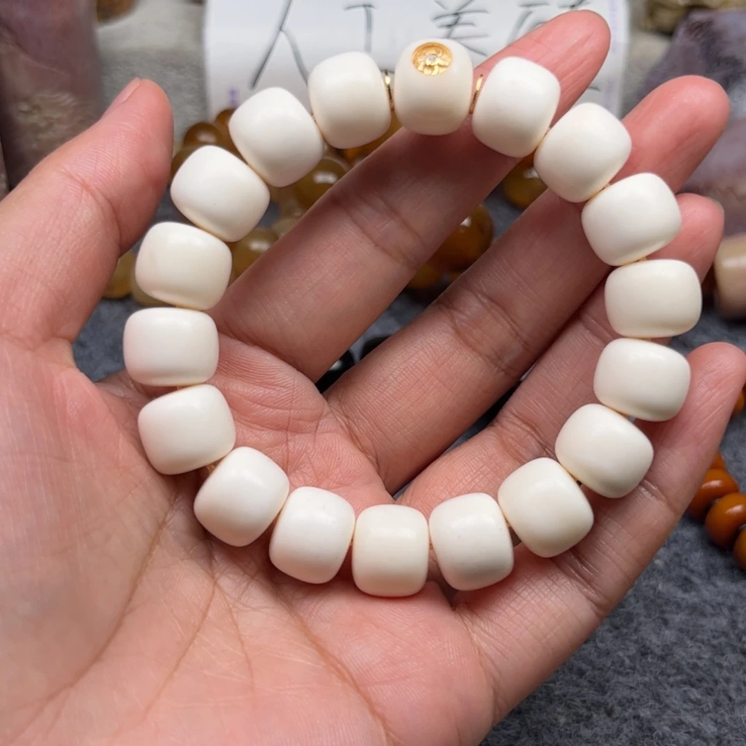 鹿骨其他人工养殖驼骨32