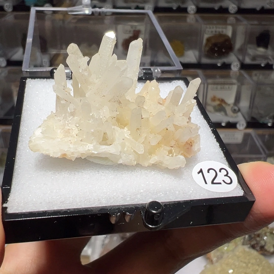 大型摆件（非配饰）紫晶银S925镶嵌