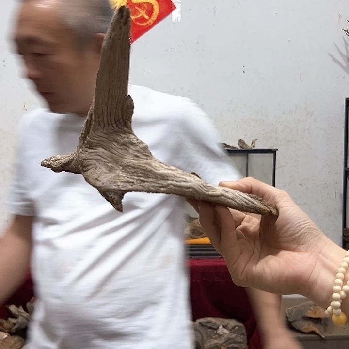 柏木洞*天我们都是好孩子呀我也是