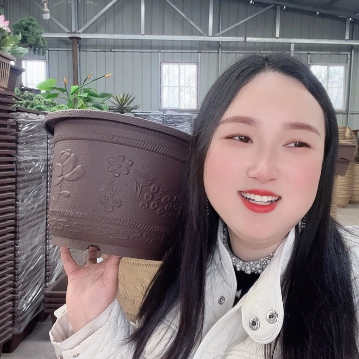 老***花圆形40花盆2个
