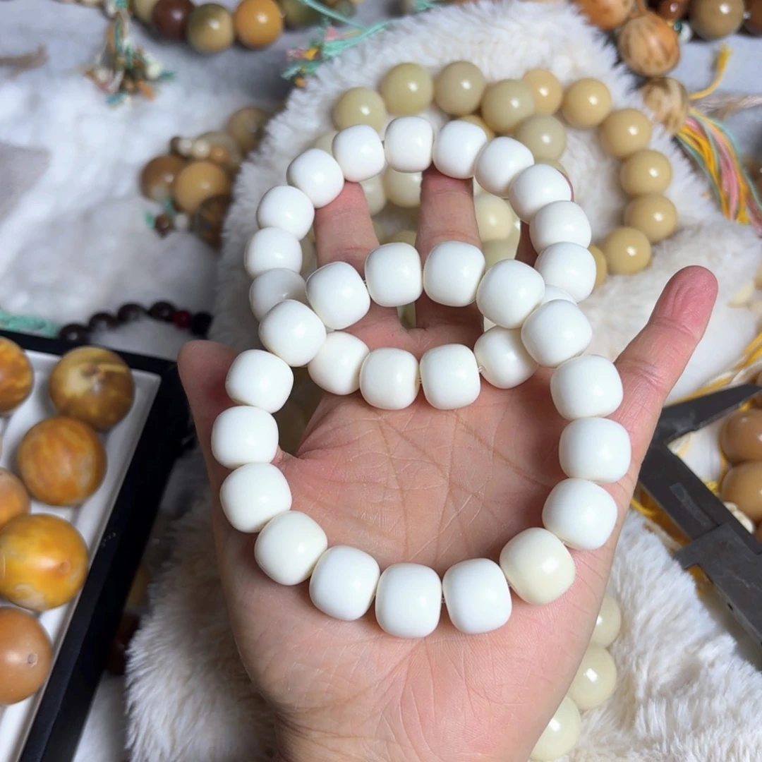 菩提根/象牙果手串白月光