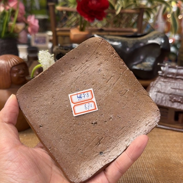 森大雅壶承福利一口价