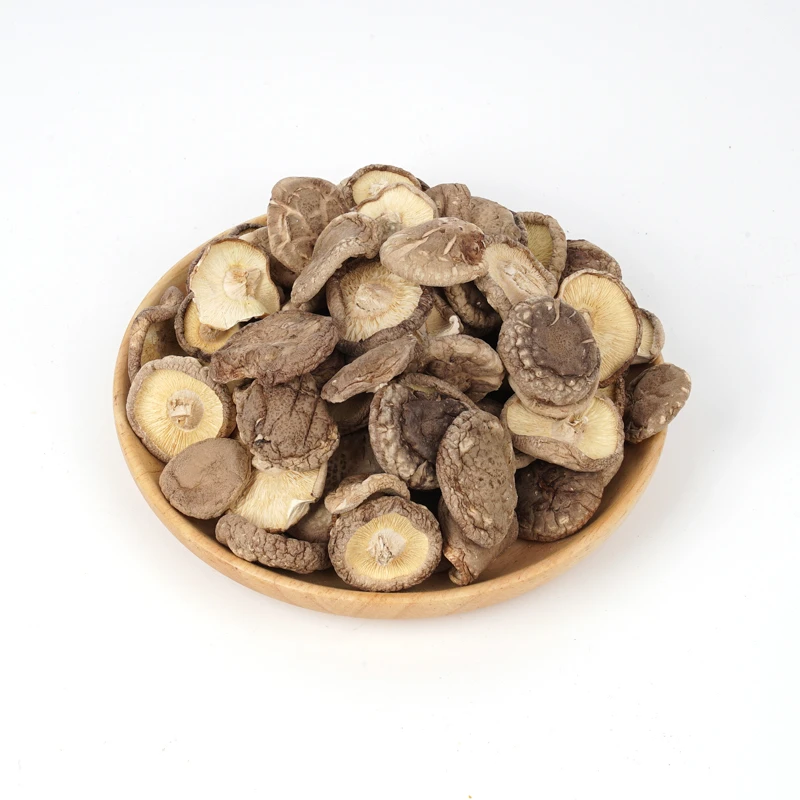 【边陲之乡】小香菇