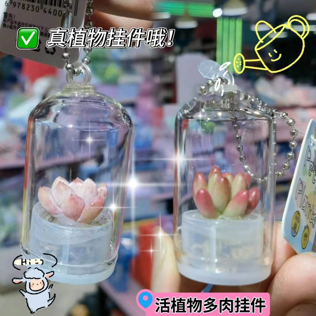 创意多肉植物小挂件工艺礼品吊饰车载装饰品迷你可养活植解压小饰
