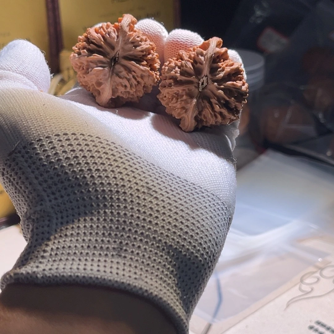 小***欢全品。42星星 全品。 in高兴