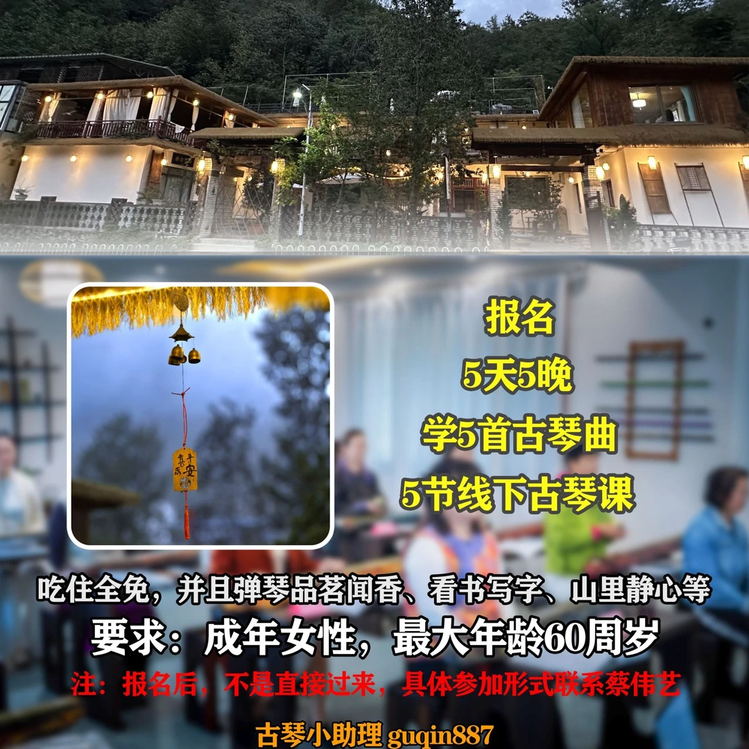蔡伟艺古琴线上基础体验课（福利赠：西安5天5夜，古琴静心课5节）