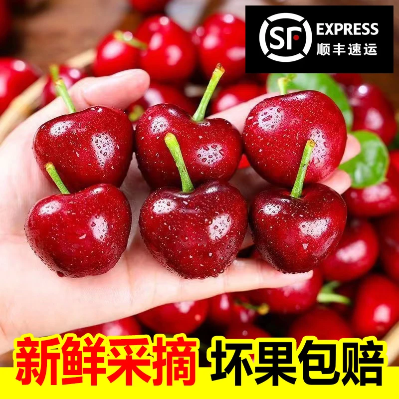 【顺丰冷链-美早】山东大樱桃脆甜3/5斤新鲜水果空运dy