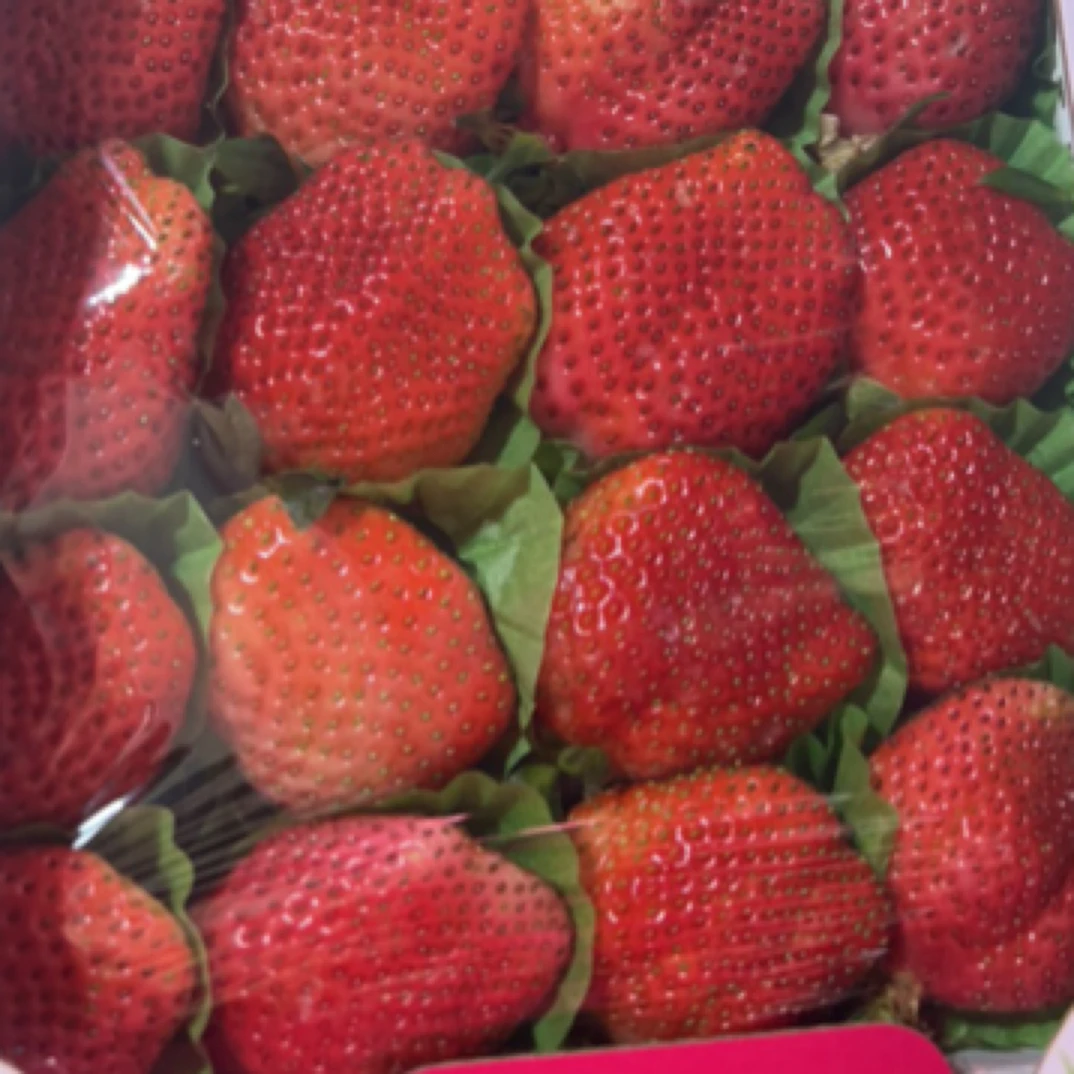 新鲜玉溪牛奶草莓小彩盒装大果中果小果随机650克左右/盒