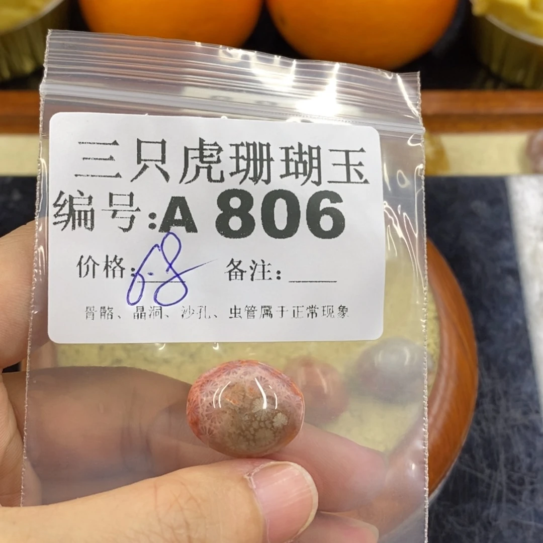 硅化珊瑚（珊瑚玉）1未镶嵌慧****1