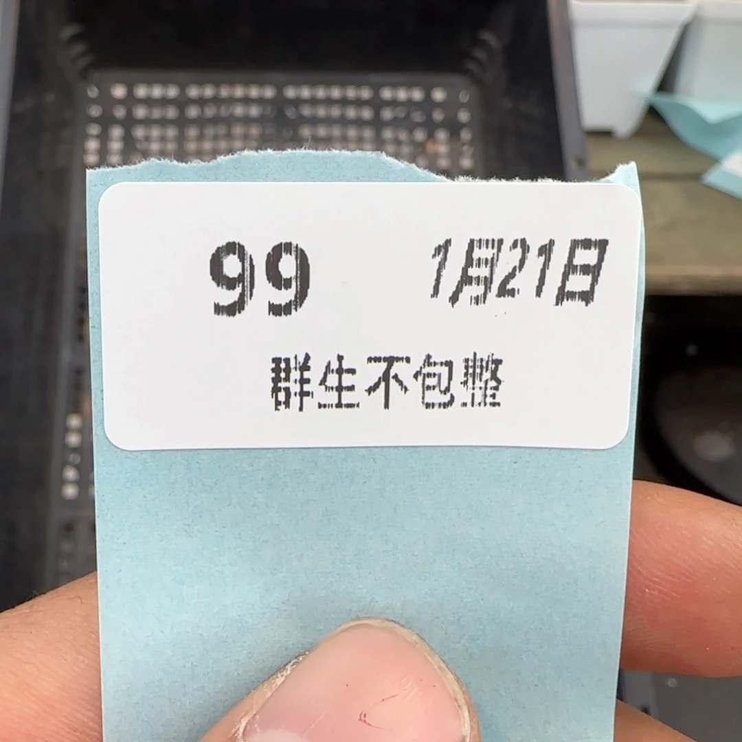 框拍框拍0121-99盲拍9个方杯7个小圆杯