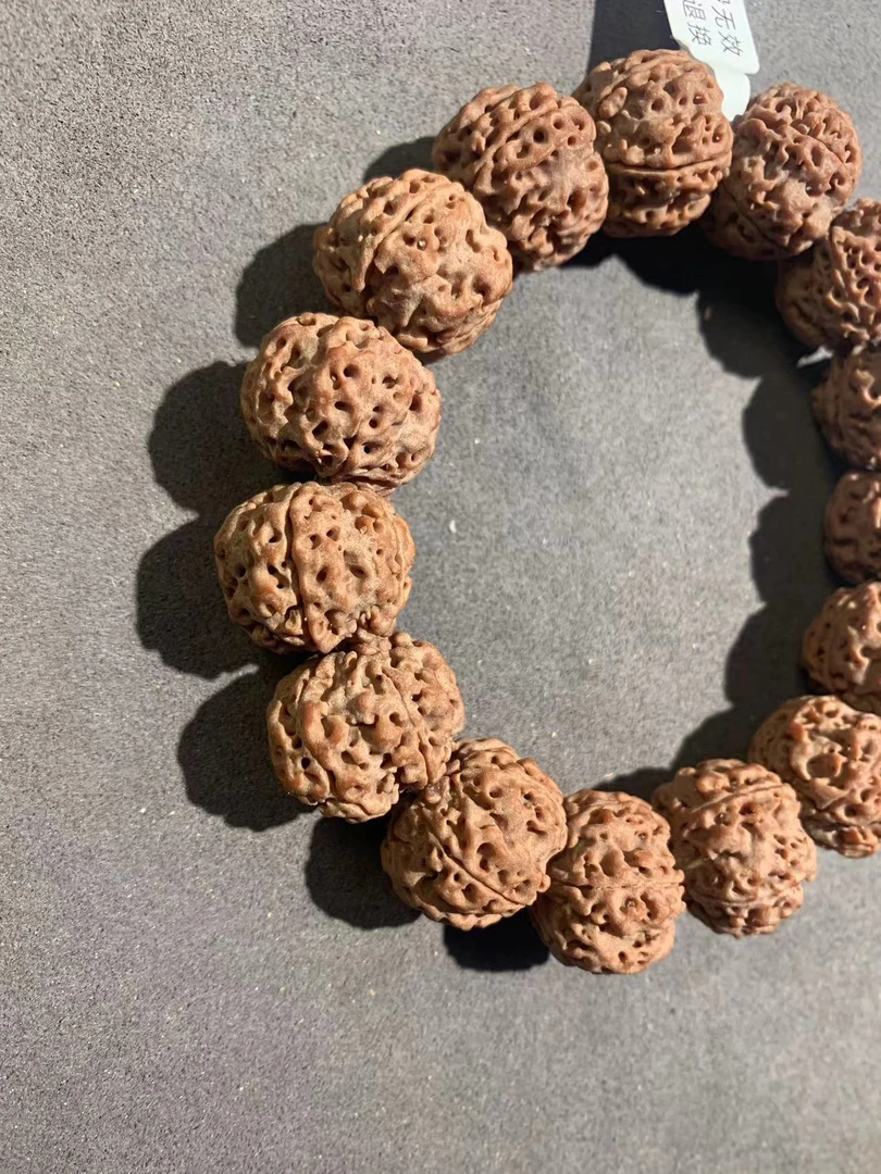 20尺寸原皮原色大金刚！安娜高山铁籽！！