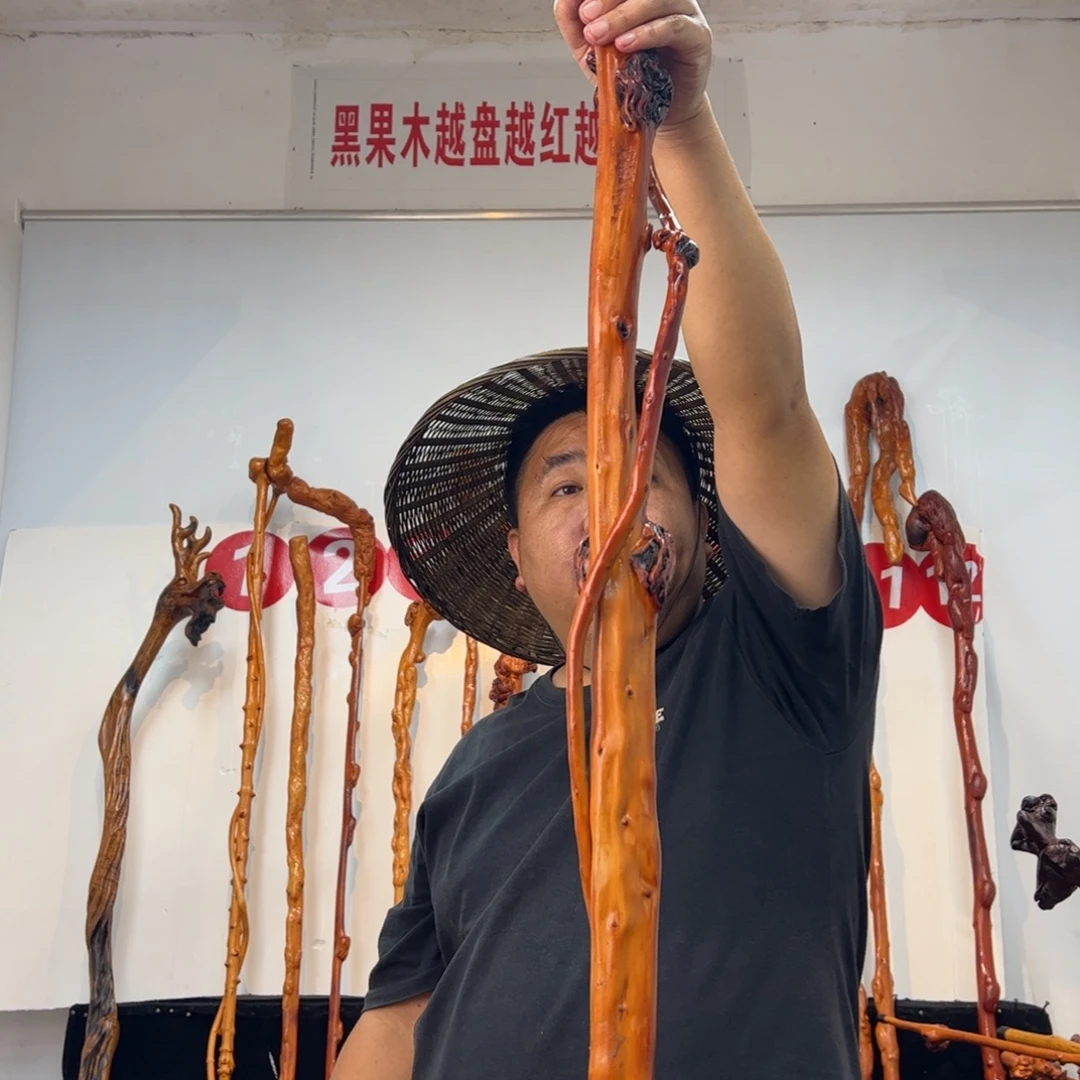 马***法黑果木其他黑果木881