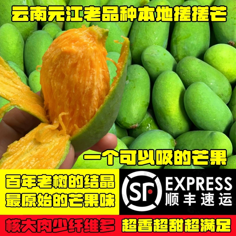 【顺丰快递】云南元江本地芒果百年老树搓搓芒果吸吸芒新鲜水果包邮