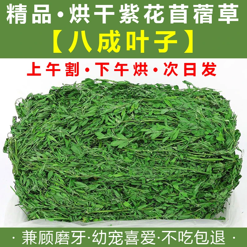 苜蓿草【炫草兔本月新草】烘干紫花苜蓿草幼兔干草食用荷兰猪龙猫