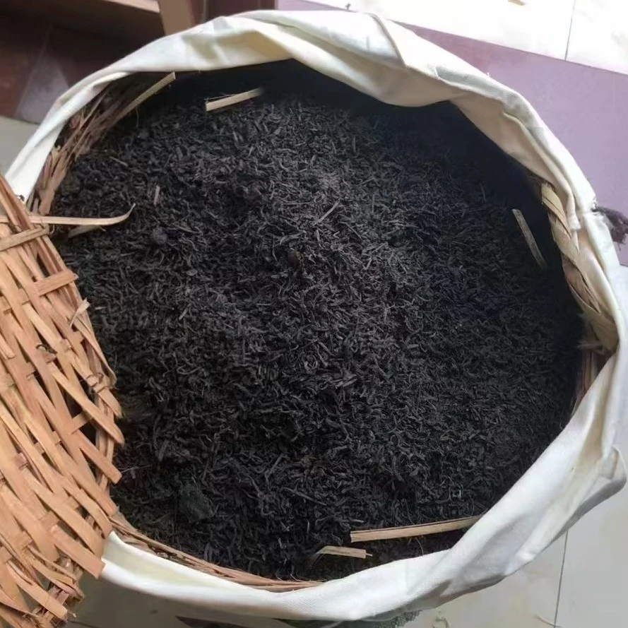 1999年  广西梧州六堡茶 （参香）