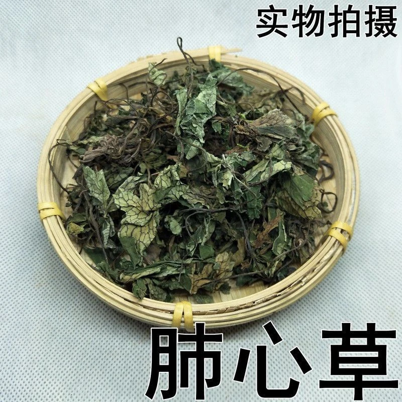 四川肺心草费心草梅花草白侧耳