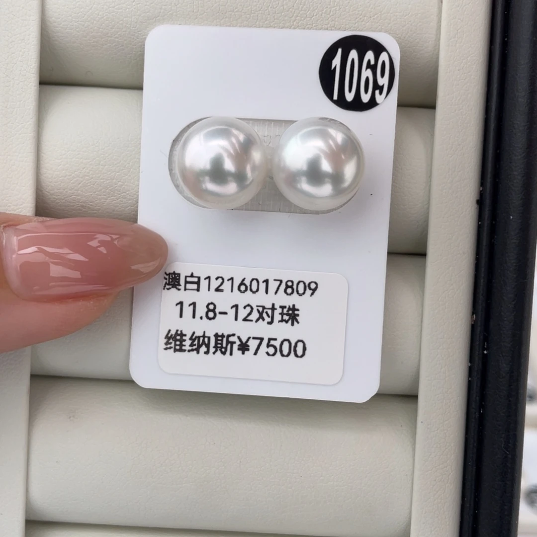 定制海水珍珠未镶嵌耳饰澳白维纳斯11.8-12mm