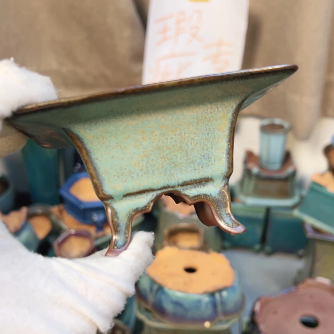 M***财觉象花盆盆觉象花盆盆