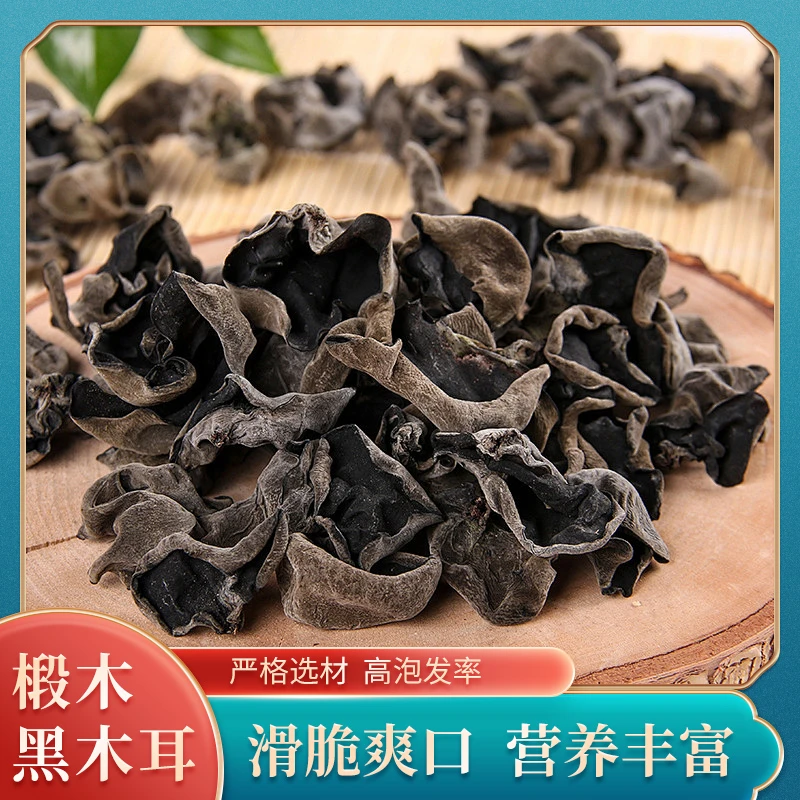 青川黑木耳段木生长秋季木耳