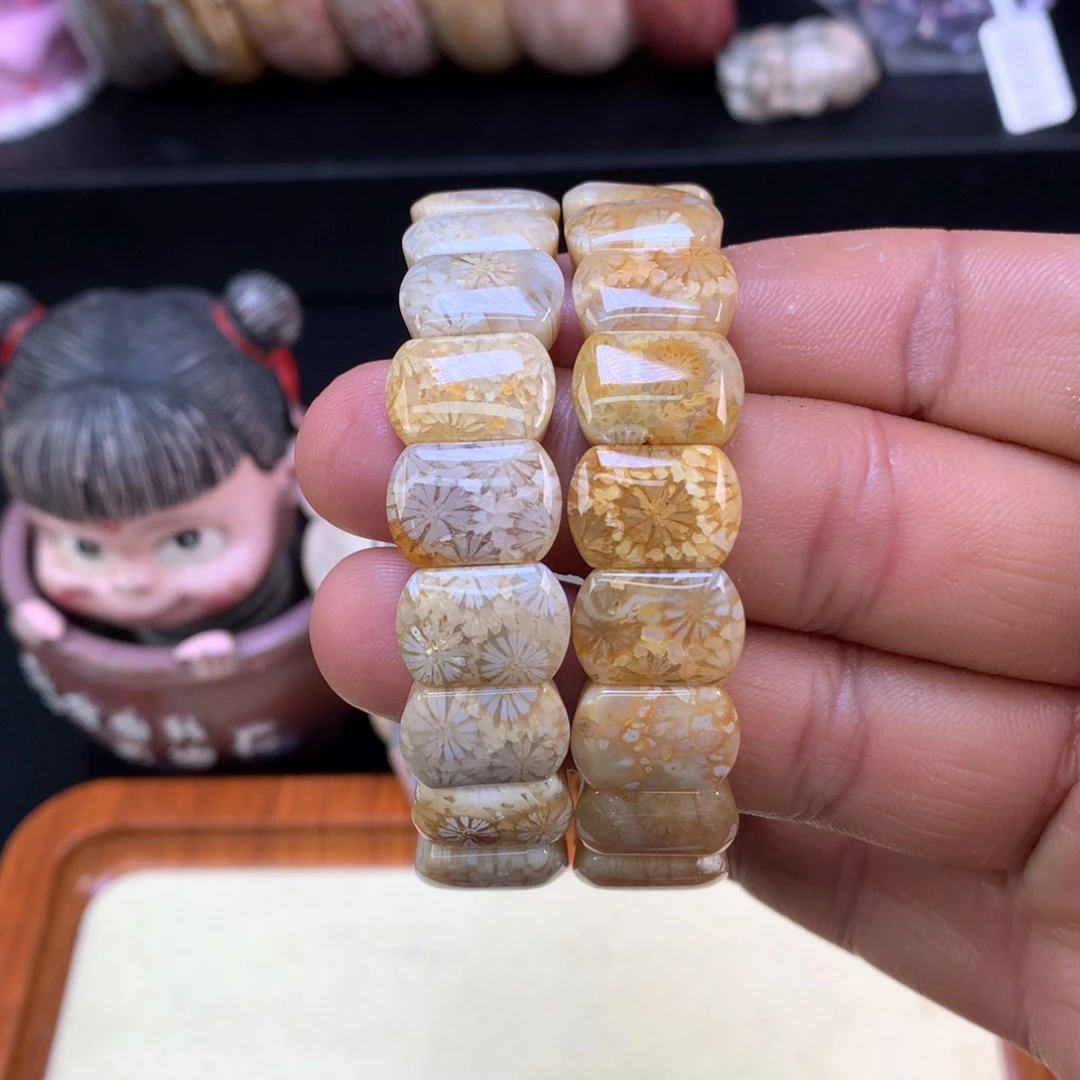 硅化珊瑚（珊瑚玉）未镶嵌颈饰41号500漏248一条可挑选