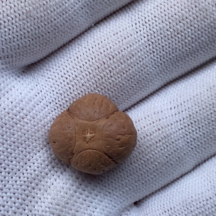 凤眼菩提把件育***箱麒麟18.8mm福利