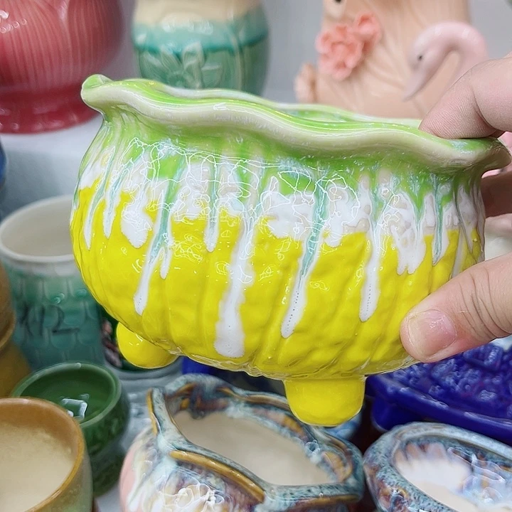 福利盆，9.99包邮