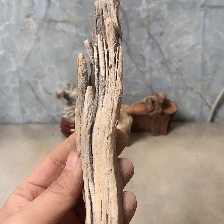 张***越大叶紫檀（黑酸枝木类）