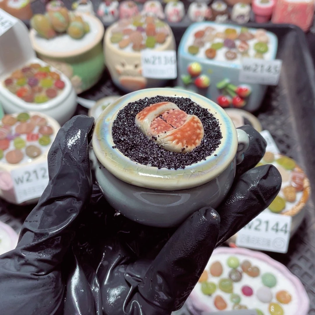 w2150 带盆土发货-零下地区拍保温箱