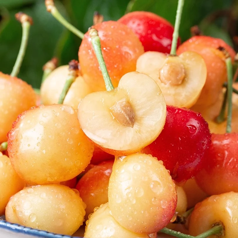 【山东黄樱桃】山东大樱桃新鲜2斤黄樱桃L南洋辉煌露天应季新鲜水果辉煌樱桃