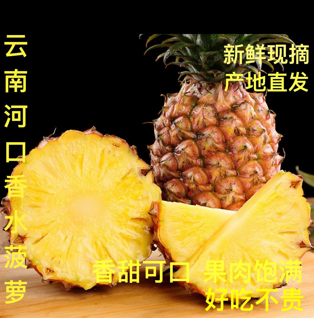 云南河口中越边境香水菠萝
