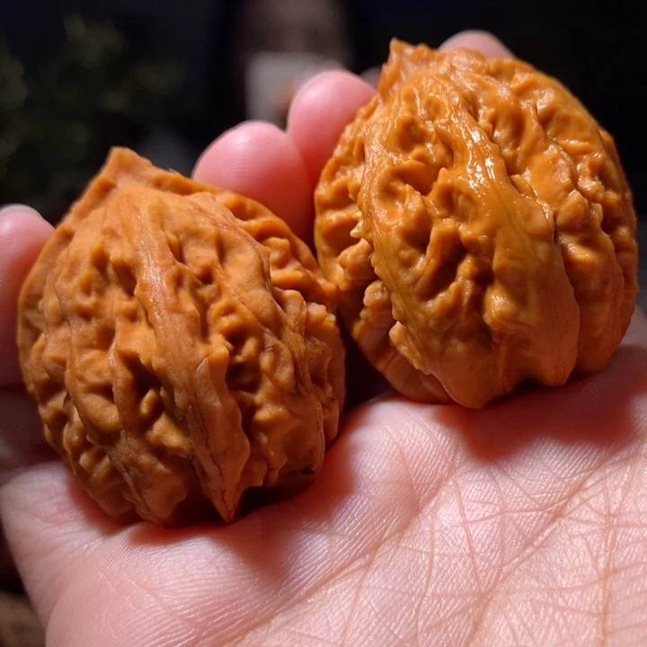 把件文玩核桃东北楸子小路 262