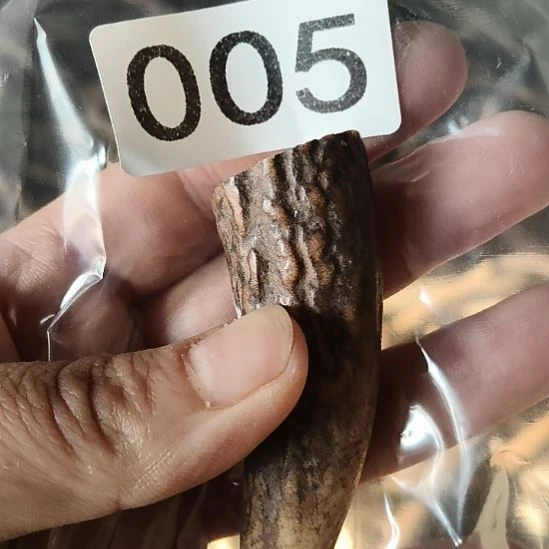 活***宝鹿角鹿角鹿角鹿角鹿角鹿角