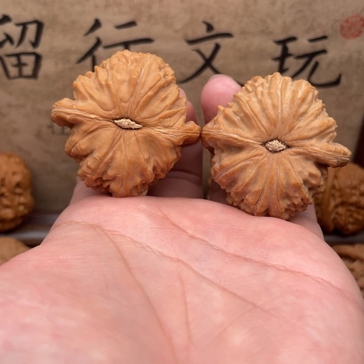 星***文玩核桃把件42白狮子微修