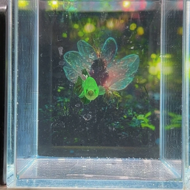 斗鱼我们是个有担当自己也