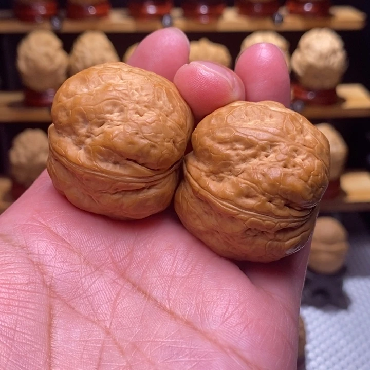 木质类云铁噬金蛤蟆头6号