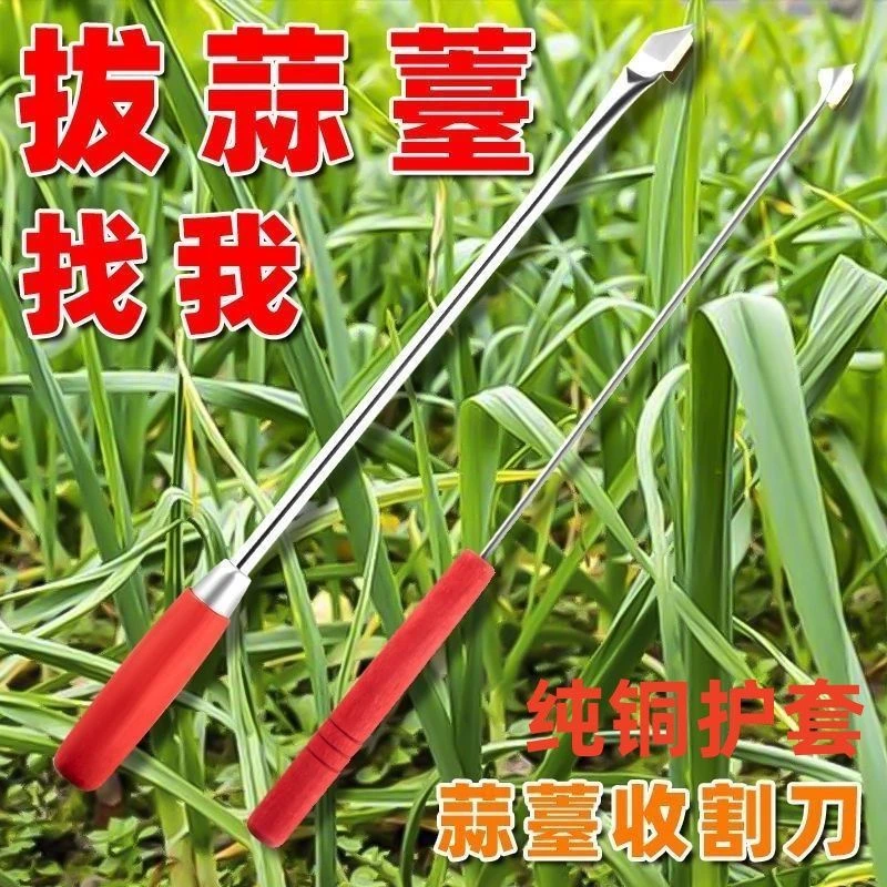 2025新款蒜苔收割刀抽蒜薹神器拔割划打抽蒜苔工具加长提蒜苔叉子