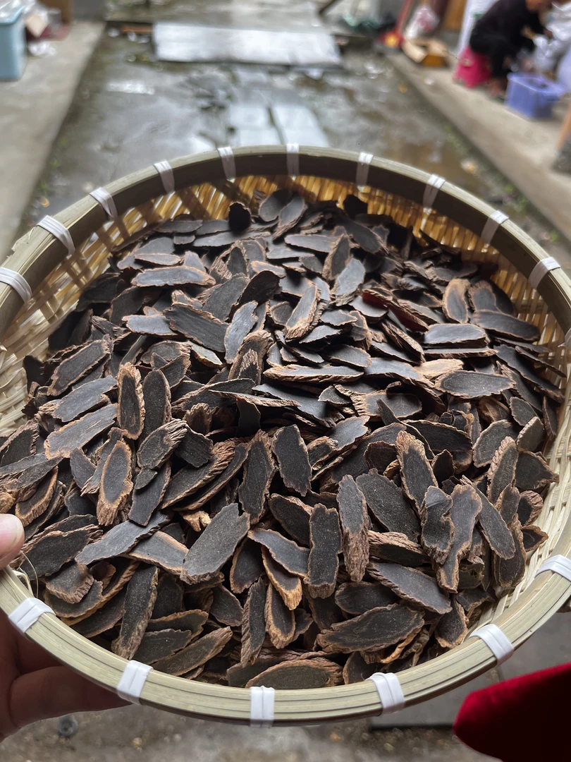 云南深山好物金边黑参片泡水秋冬滋补元气