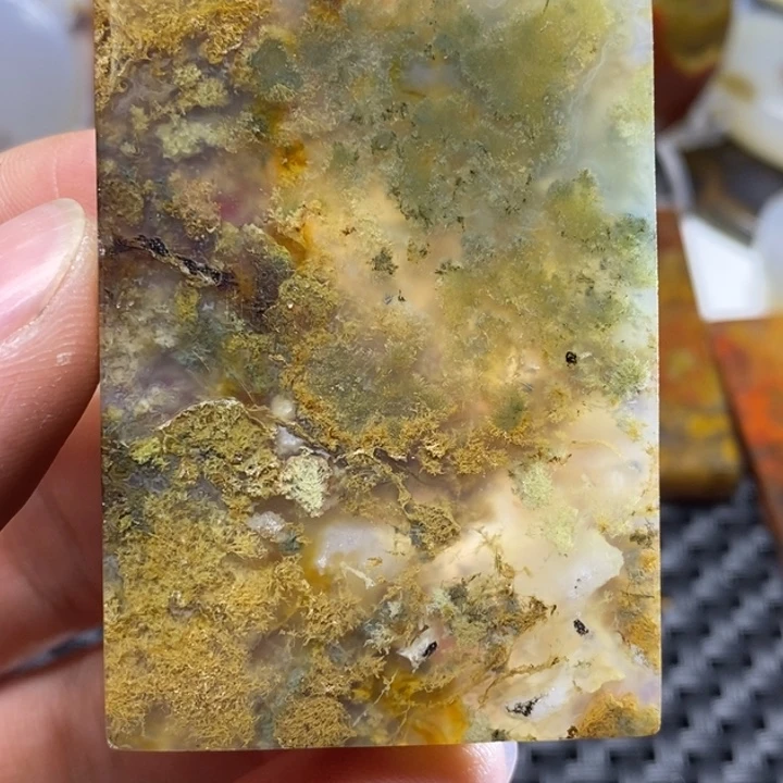 玛瑙/玉髓颈饰未镶嵌陈*杰