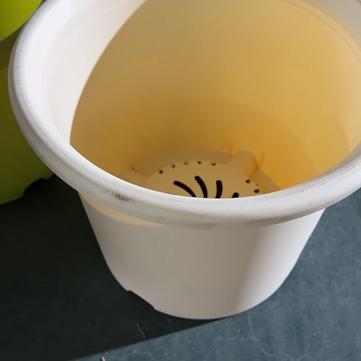 四季6号米黄无拖7个特价微瑕