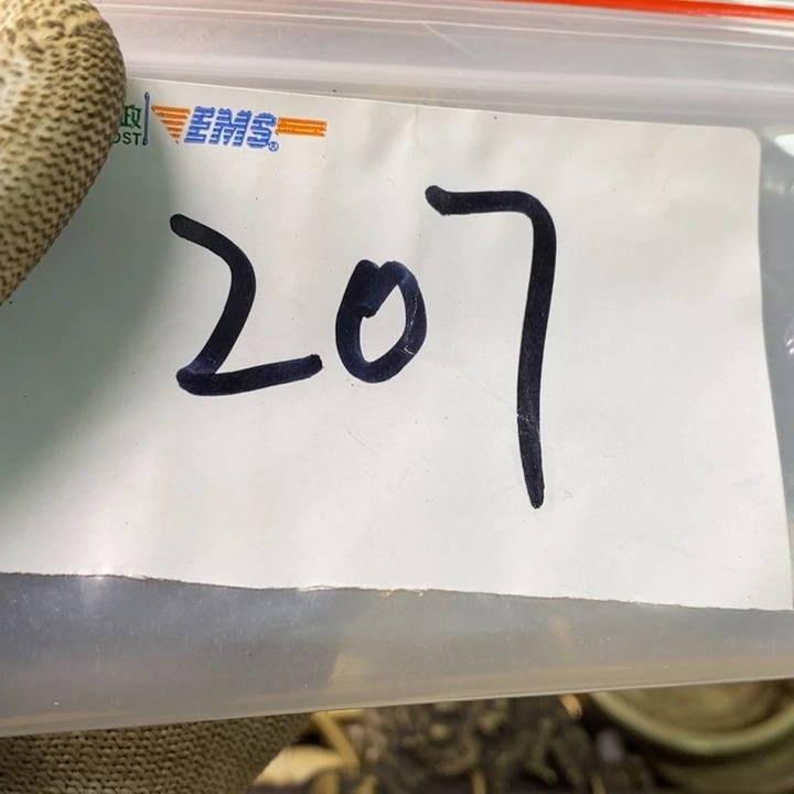 海***淀娜娜文玩杂项专属链接