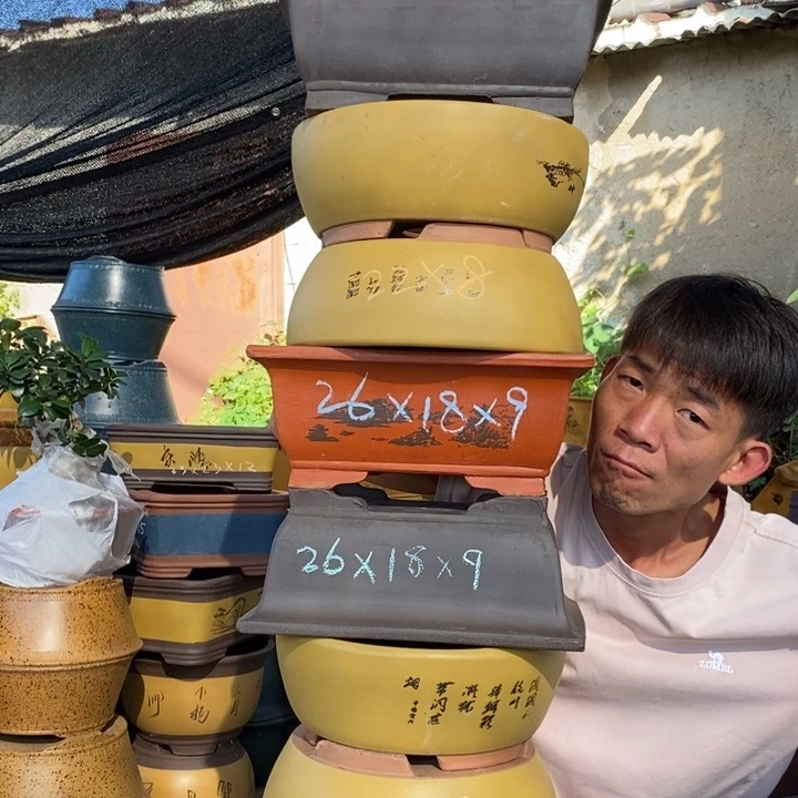 紫砂花盆紫砂艺术学院的学生会