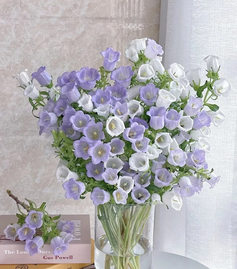 【玖宸花源】风铃花  鲜花优选  家庭瓶插花