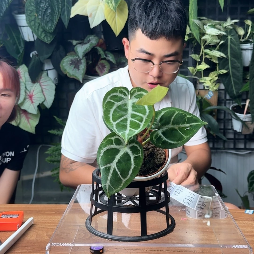 一***目完全开放一物一拍91号