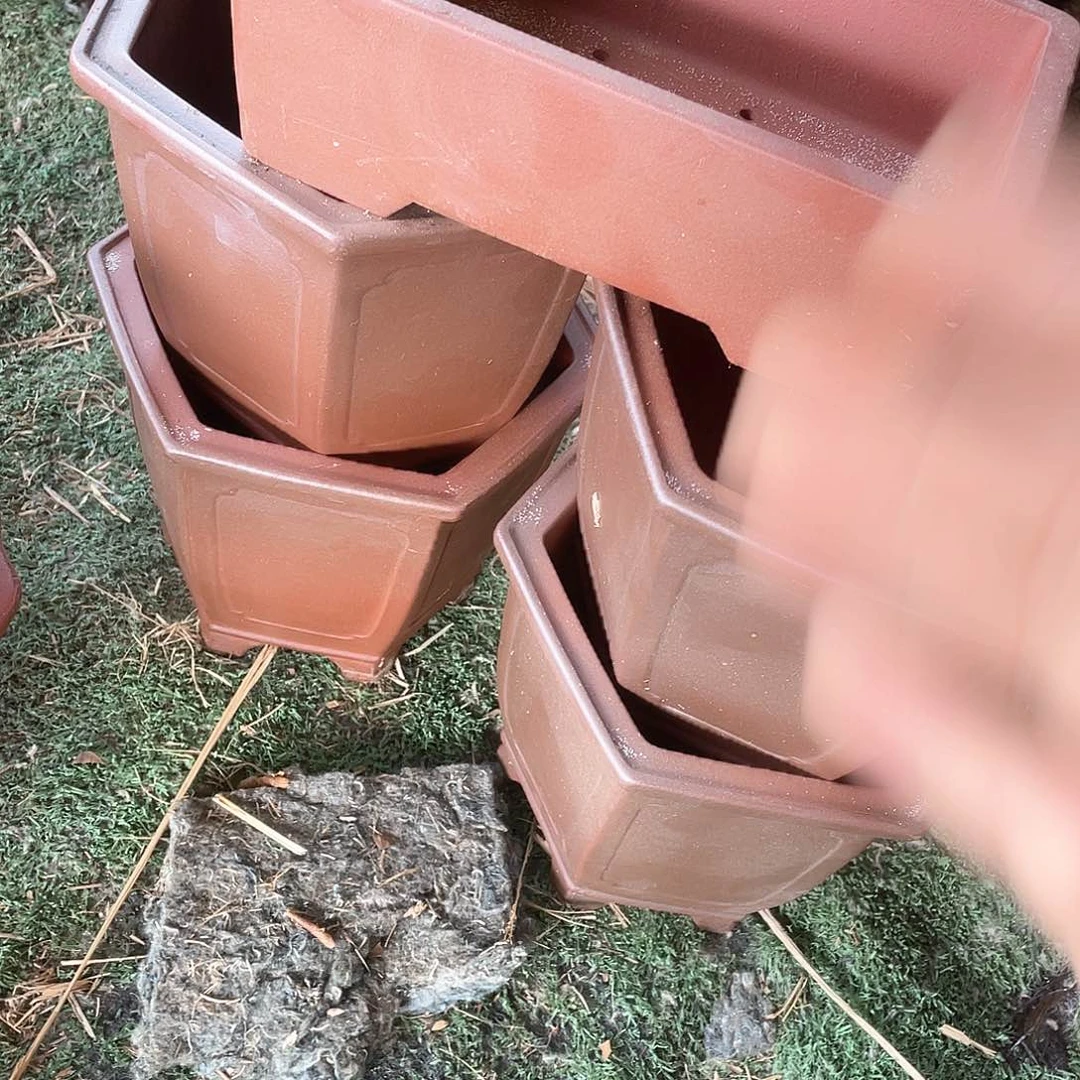 处理紫砂一组五只