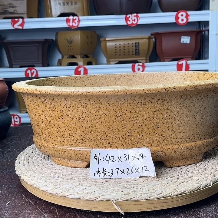 花盆紫砂你在一起