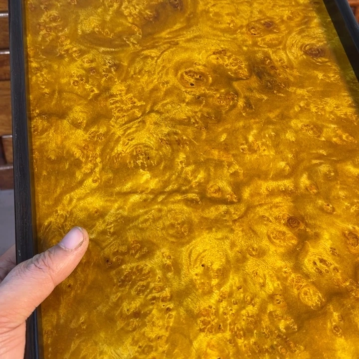 木黄金樟留疤超大托盘