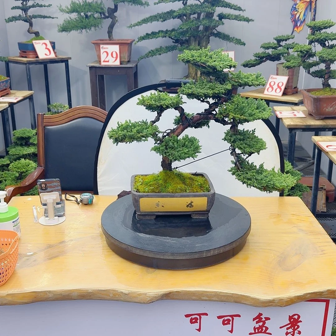 无花朵直播间一物一拍