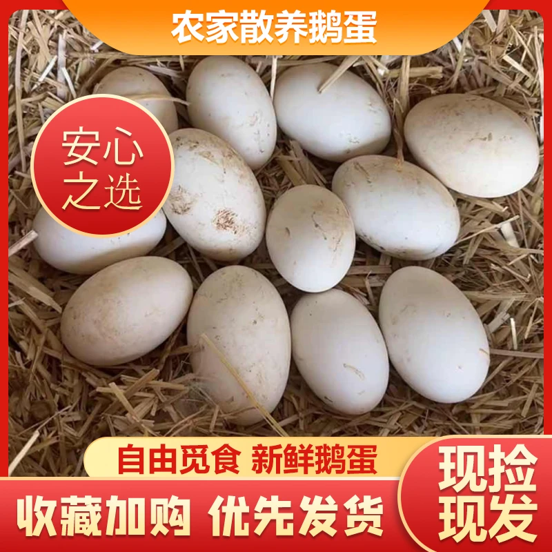 （冰心专属）瑶恺溜达自养农村新鲜正宗批发一箱大鹅蛋