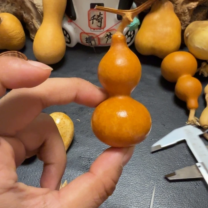 苹***乐66……………………………………