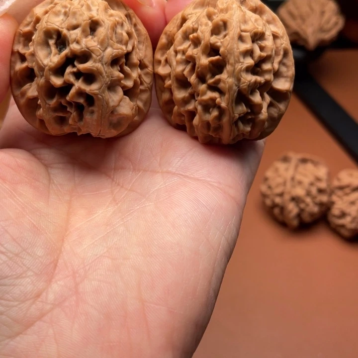 啊***喂桃木秦核等人的故事也在这里展开
